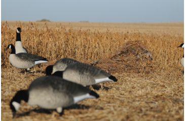 Image of Avery Outdoors KillerWeed,Faded Grass 47408