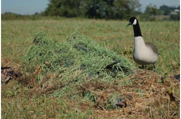 Image of Avery Outdoors KillerWeed Layout Blind Kit,Winter Wheat 47304