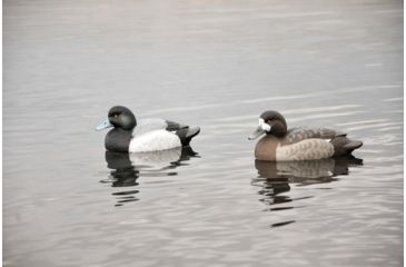 Image of Avery Outdoors PG Blue-Bills-Lesser Scaup, 1/2 dozen, 77138