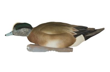 Image of Avery Outdoors PG FFD Elite Wigeons, 1/2 dozen, 74143