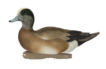 Image of Avery Outdoors PG FFD Elite Wigeons, 1/2 dozen, 74143