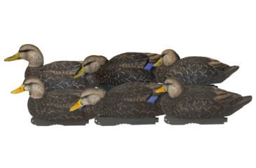 Image of Avery Outdoors PG XD Series Black Ducks-Harvester Pack, 1/2 dozen, Realistic Postures, 76106