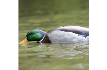 Image of Avian X Tip Up Mallard Feeder