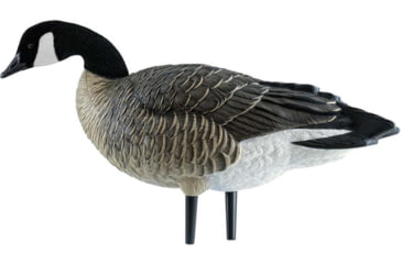 Image of Avian X Outfitter Pack AXF Lessers Decoy, AVX-AVX9033
