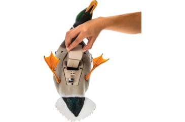Image of Avian X Spinning Wing Duck Decoys, AVX-AVXDP101