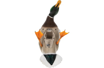Image of Avian X Spinning Wing Duck Decoys, AVX-AVXDP101