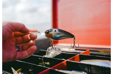Image of Bass Mafia 2.25in Capo 10 R Bait