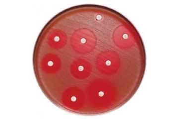 Image of BD BBL Sensi-Disc Antimicrobial Susceptibility Test Discs, BD Diagnostic Systems 231696 Cefepime