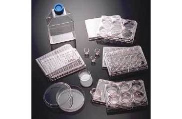Image of BD BioCoat Cellware, Laminin, BD Biosciences 354533 Culture Flasks T-25 (25 cm2)