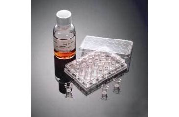 Image of BD BioCoat Matrigel Invasion Chambers, BD Biosciences 354481 Bd Matrigel Invasion Chambers