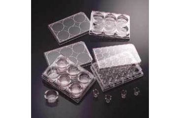 Image of BD BioCoat Variety Pack Inserts and Multiwell Plates, BD Biosciences 354417 Multiwell Plates