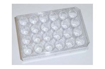 Image of BD Falcon 24-Well Multiwell Plates with Lids, Sterile, BD Biosciences 351147