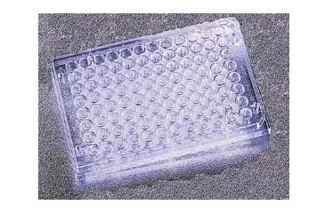 Image of BD Falcon 96-Well Cell Culture Plates, BD Biosciences 351172 Plates With Untreated Surface, Sterile