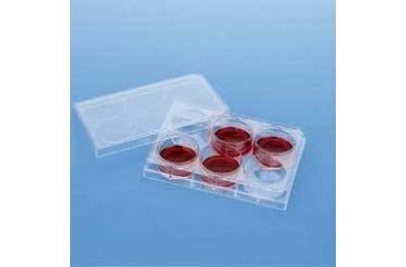 Image of BD Falcon Cell Culture Companion Plates for Inserts, Sterile, BD Biosciences 353503
