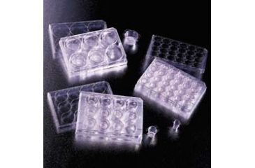 Image of BD Falcon Cell Culture Inserts, Sterile, BD Biosciences 353096 Transparent Inserts