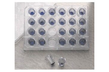 Image of BD Falcon FluoroBlok Cell Culture Inserts for Compound Permeability, Migration, and Invasion Assays, BD Biosciences 351151