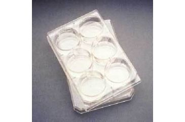 Image of BD Falcon Multiwell Flat-Bottom Plates with Lids, Sterile, BD Biosciences 353046