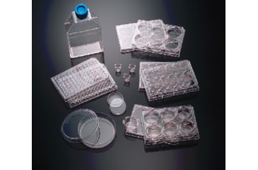 Image of BD Plate Polyd Lys Laminin 6W CS5 354595