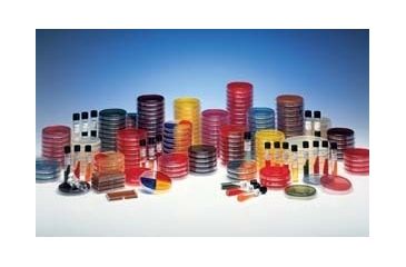 Image of BD Prepared Media in Bottles and Plates, BD Diagnostics 215085 Bd Bbl Chromagar Listeria, Aoac