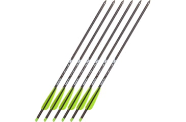 Image of Bear X Bolts, 6 pack, ACBK20