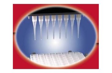 Image of Beckman Coulter Biomek 2000 Disposable Pipettor Tips, Beckman Coulter 372654 Nonsterile P250 Tips
