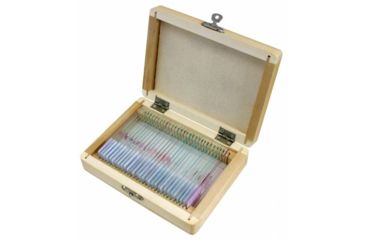 Image of Bresser 30 Permanent preparations, Human 5985000