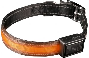Image of Brite Strike Technologies Rechargeable Lighted Dog Collar, Orange/Black, Small LPSCU-ORANGE-S