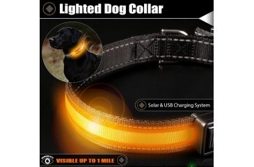 Image of Brite Strike Technologies Rechargeable Lighted Dog Collar, Orange/Black, Small LPSCU-ORANGE-S