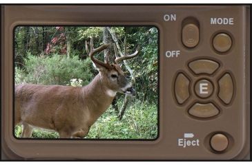 Image of BTC 7FHDP RECON FORCE FHD 10MP 8AA