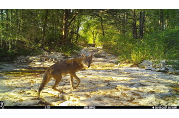 Image of Browning Trail Cameras Dark Ops Pro-X 1080 Trail Camera, BTC 6PX-1080