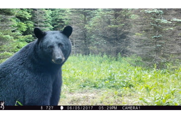 Image of Browning Trail Cameras Strike Force Pro X-20MP, BTC-5HDPX