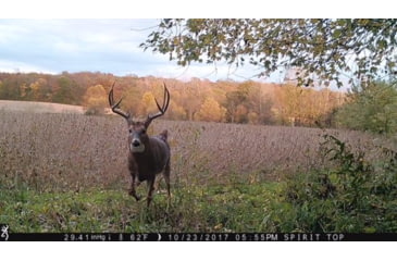 Image of Browning Trail Cameras Strike Force Pro X-20MP, BTC-5HDPX