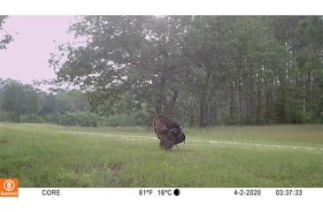 Image of Bushnell 30mp Core S-4k Tree Bark Camo No Glow Box - 119949C