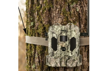 Image of Bushnell Cellucore 24 Verizon Camo 24MP, Box, Camo, 119906V