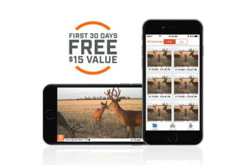Image of Bushnell CelluCore 30mp Verizon No Glow Treebark Trail Cam, Camo, Box, 119902V