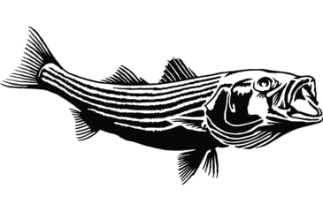 Image of Calcutta Fish Decals