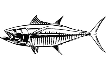 Image of Calcutta Fish Decals