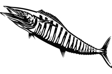Image of Calcutta Fish Decals