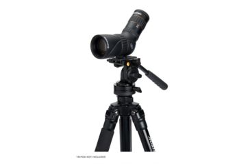 Image of Celestron Hummingbird 7-22x50mm ED Angled Micro Spotting Scope, Black 52307
