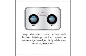 Image of Coleman Signature 7x50 Waterproof Porro Prism Binoculars, Black CS750WP