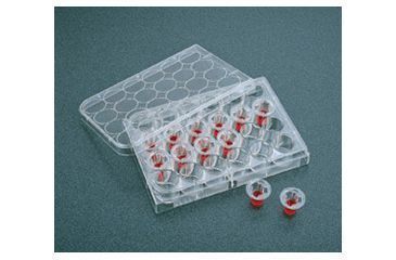 Image of Corning Transwell Inserts 6.5MM CS48 3421