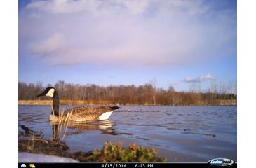 Image of Cuddeback C2 Long Range Video Camera 20 MP Brown