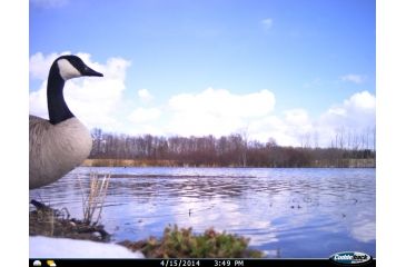 Image of Cuddeback C2 Long Range Video Camera 20 MP Brown