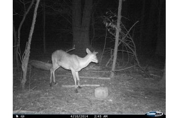 Image of Cuddeback C2 Long Range Video Camera 20 MP Brown