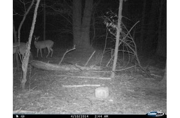 Image of Cuddeback C2 Long Range Video Camera 20 MP Brown