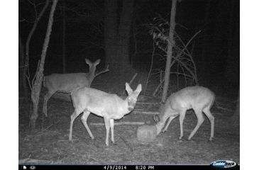 Image of Cuddeback C2 Long Range Video Camera 20 MP Brown