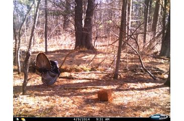 Image of Cuddeback C2 Long Range Video Camera 20 MP Brown