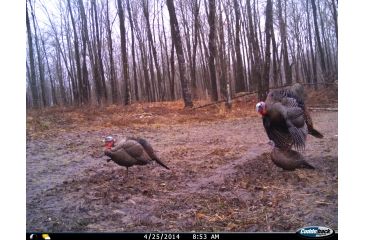 Image of Cuddeback C2 Long Range Video Camera 20 MP Brown