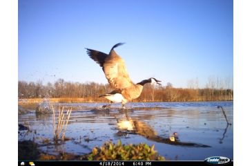 Image of Cuddeback C2 Long Range Video Camera 20 MP Brown