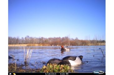 Image of Cuddeback C2 Long Range Video Camera 20 MP Brown